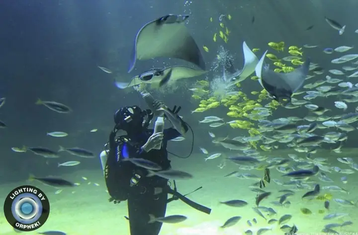 Đèn Led Cho Bể Cá Orphek Atlantik Icon Reef Không Chỉ Làm Cho Bể Của Bạn Trông Đẹp Mà Còn Tự Nó Đẹp.