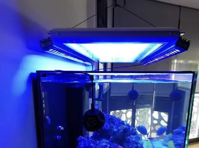 Đèn Led Cho Bể Cá Orphek Atlantik Icon Reef Không Chỉ Làm Cho Bể Của Bạn Trông Đẹp Mà Còn Tự Nó Đẹp.