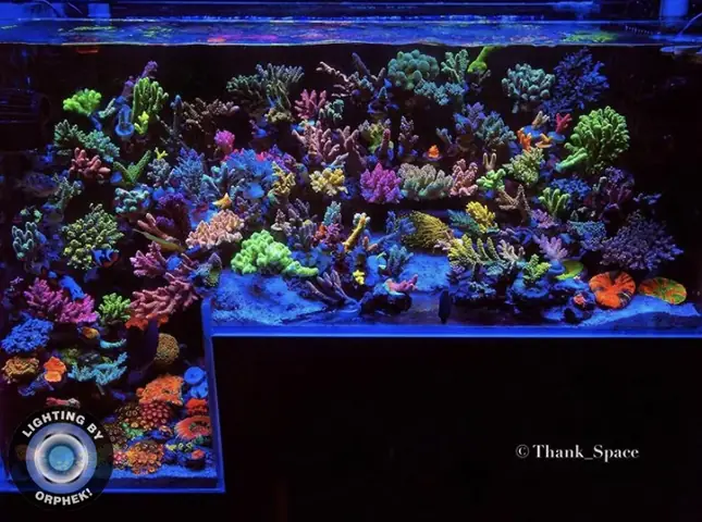 Đèn Led Cho Bể Cá Orphek Atlantik Icon Reef Không Chỉ Làm Cho Bể Của Bạn Trông Đẹp Mà Còn Tự Nó Đẹp.