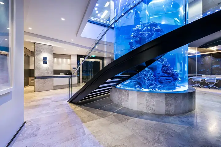 Thủy Cung Cylinder Với Dự Án San Hô Sps & Lps Khổng Lồ