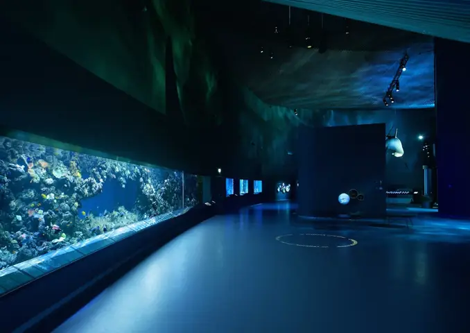 Dự Án Đan Mạch Blue Planet Aquarium Công