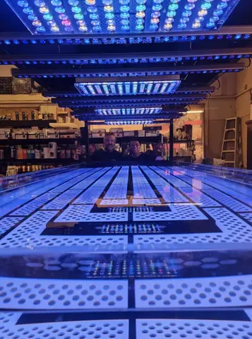 Bố Cục Led Hồ Cá Rạn San Hô Tuyệt Vời Của Orphek