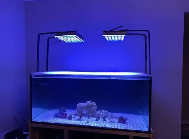 Đèn Led Cho Bể Cá Orphek Atlantik Icon Reef Không Chỉ Làm Cho Bể Của Bạn Trông Đẹp Mà Còn Tự Nó Đẹp.