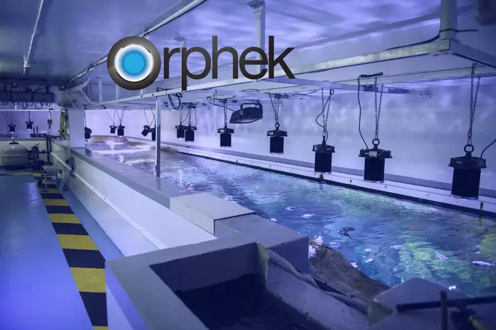 Dự Án Burj Al Arab Bể Led Light