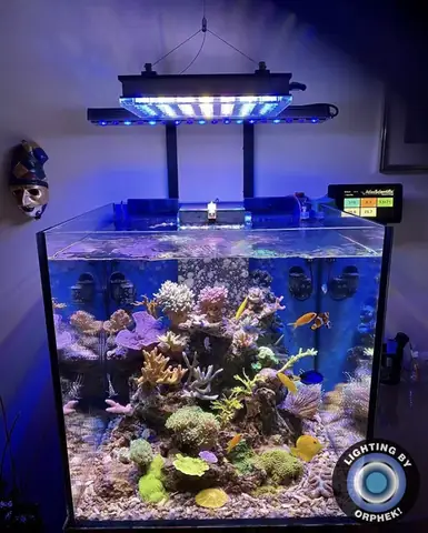 Đèn Led Cho Bể Cá Orphek Atlantik Icon Reef Không Chỉ Làm Cho Bể Của Bạn Trông Đẹp Mà Còn Tự Nó Đẹp.
