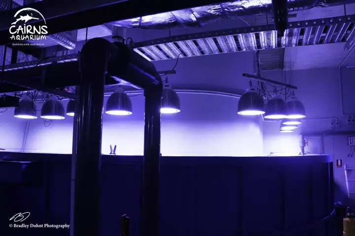 Dự Án Hồ Chứa Công Cộng Cairns - Queensland, Australia