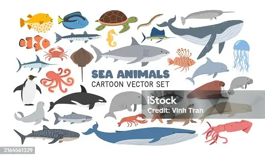 Hơn 17.800 Cá Đuối Hình Minh Họa Ảnh, Hình Chụp & Hình Ảnh Trả ...