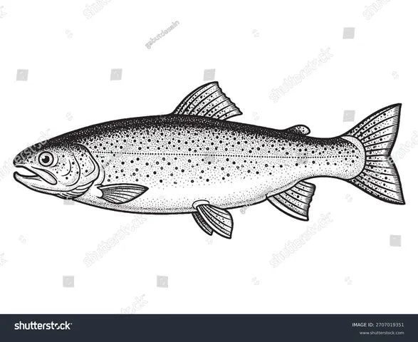 Cá Hồi : 246 Nghìn Ảnh, Hình Ảnh Có Sẵn Và Ảnh Miễn Phí Bản Quyền ...