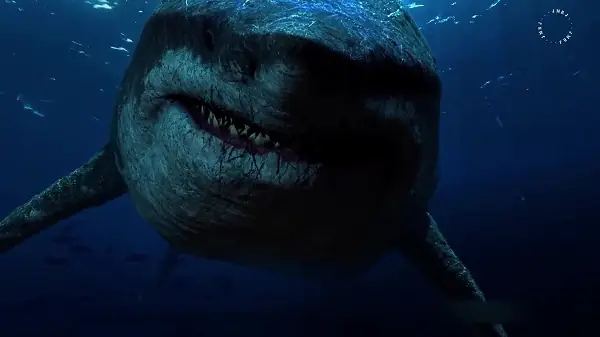 Hình Ảnh Cá Mập Megalodon