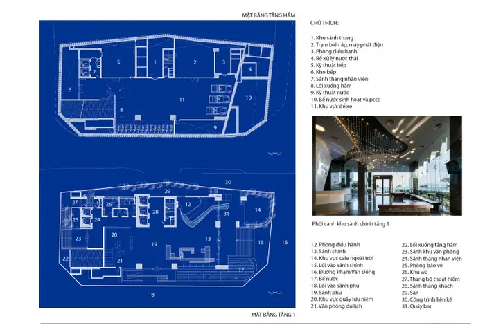 Hình Ảnh Cá Ngựa