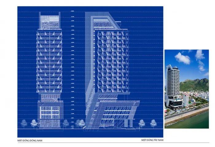 Hình Ảnh Cá Ngựa