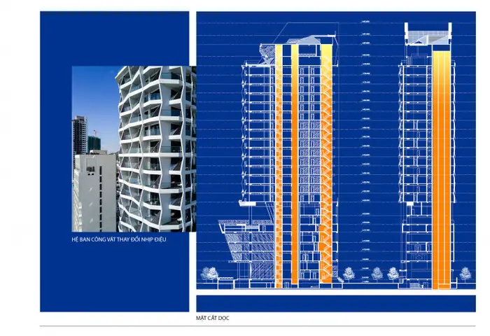 Hình Ảnh Cá Ngựa