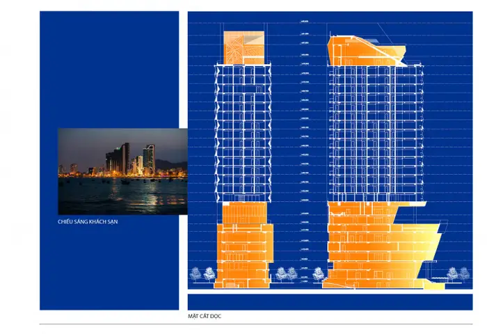 Hình Ảnh Cá Ngựa