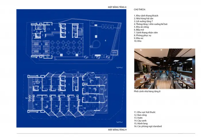 Hình Ảnh Cá Ngựa