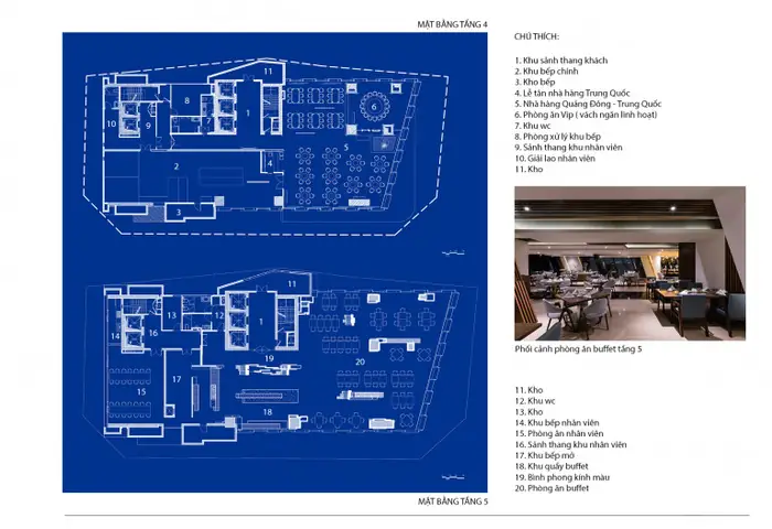 Hình Ảnh Cá Ngựa