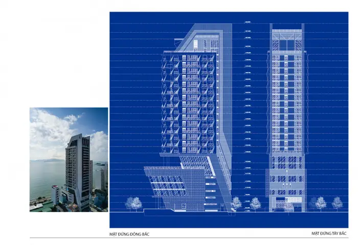 Hình Ảnh Cá Ngựa