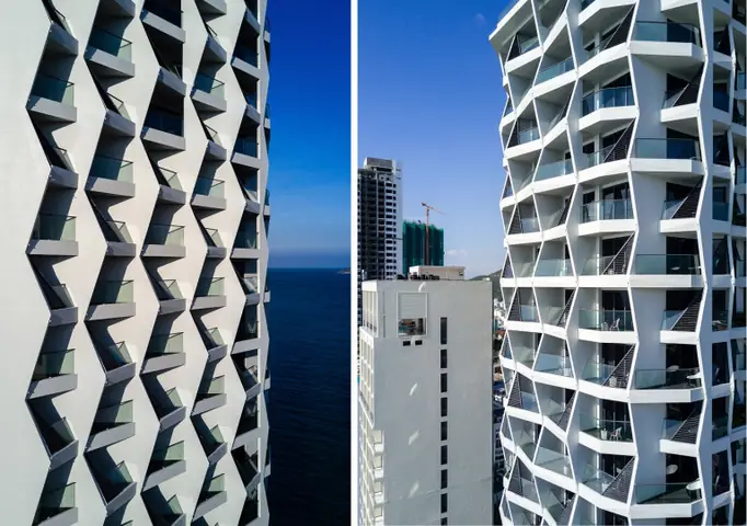 Hình Ảnh Cá Ngựa