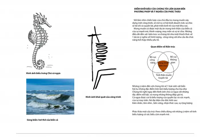 Hình Ảnh Cá Ngựa