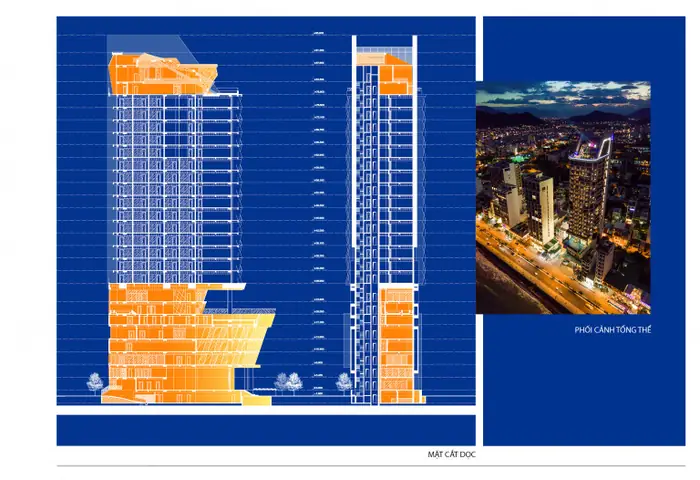 Hình Ảnh Cá Ngựa