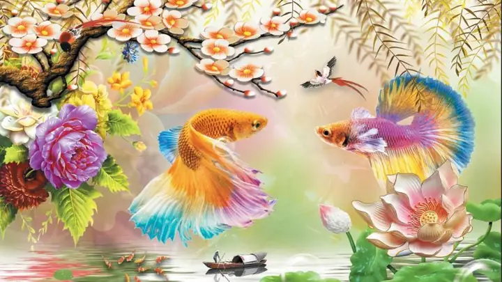 Hình Nền Cá Chép Hoa Sen Full Hd 4k Cho Máy Tính