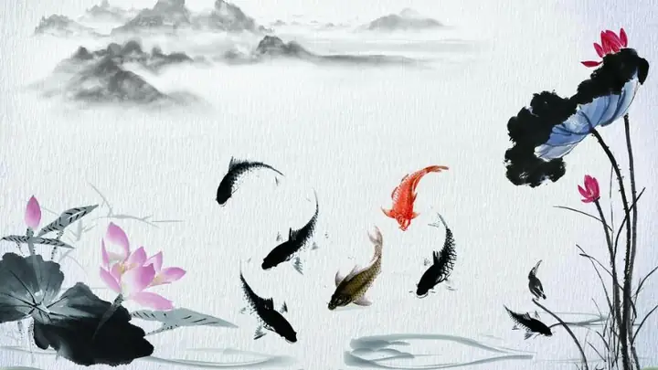 Hình Nền Cá Chép Hoa Sen Full Hd 4k Cho Máy Tính