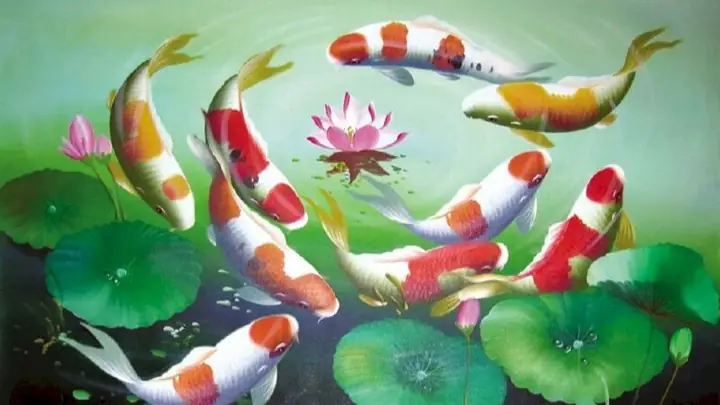 Hình Nền Cá Chép Hoa Sen Full Hd 4k Cho Máy Tính