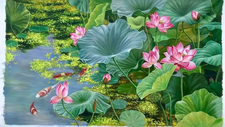 Hình Nền Cá Chép Hoa Sen Full Hd 4k Cho Máy Tính