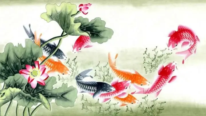 Hình Nền Cá Chép Hoa Sen Full Hd 4k Cho Máy Tính