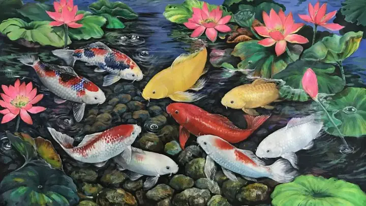 Hình Nền Cá Chép Hoa Sen Full Hd 4k Cho Máy Tính