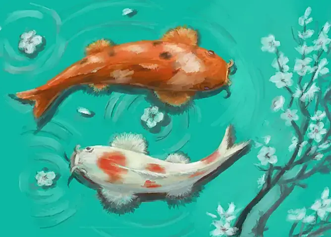 Những Câu Hỏi Thường Gặp (faq) Về Hình Vẽ Cá Chép
