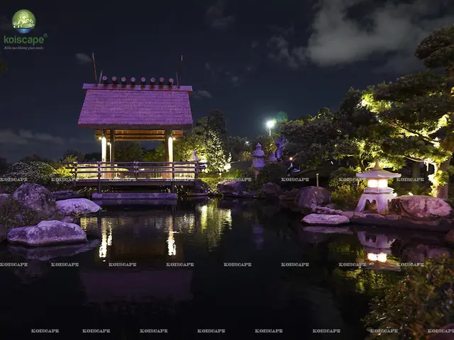 Những Lỗi Thường Gặp Khi Thiết Kế Hồ Cá Koi Ngoài Trời - Koiscape Những Lỗi Thường Gặp Khi Thiết Kế Hồ Cá Koi Ngoài Trời - Koiscape