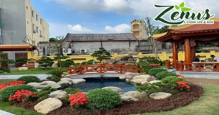 88+ Mẫu Thi Công Hồ Cá Koi Đẹp Đến Mê Mẩn - Cảnh Quan ...