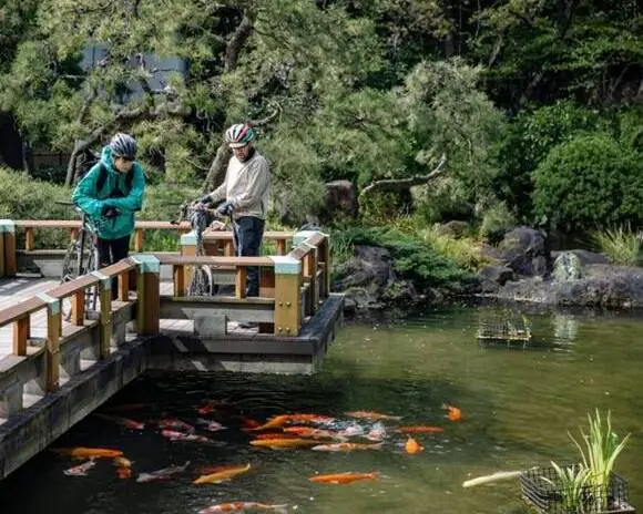 Công Viên Ikedayama, Nhật Bản