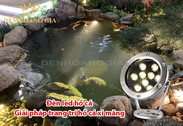 10+ Ý Tưởng Xây Hồ Cá Xi Măng Đơn Giản Và Giải Pháp Trang Trí, Chiếu ...