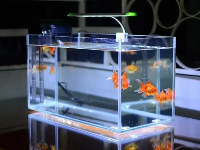 Kích Thước Hồ Kiếng Nuôi Cá Kích Thước Hồ Kiếng Nuôi Cá