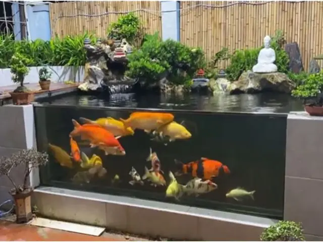 Nguồn Nước Nuôi Cá Nguồn Nước Nuôi Cá