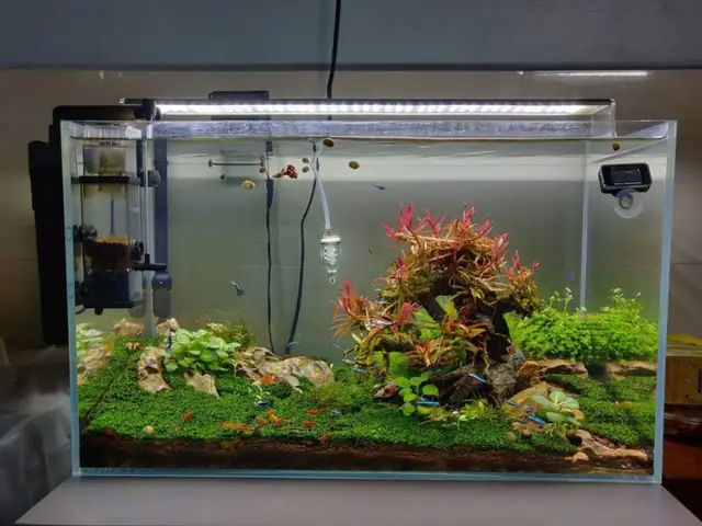 Hồ Kính Siêu Trong Nhập Khẩu Hồ Kính Siêu Trong Nhập Khẩu