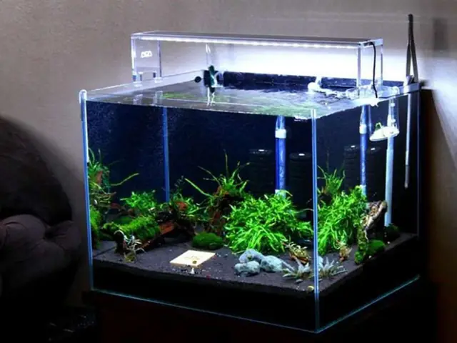 Hệ Thống Lọc Nước Hệ Thống Lọc Nước