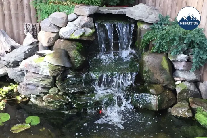 Một Số Lưu Ý Khi Thiết Kế Hòn Non Bộ Mini Nuôi Cá Ngoài Trời Một Số Lưu Ý Khi Thiết Kế Hòn Non Bộ Mini Nuôi Cá Ngoài Trời