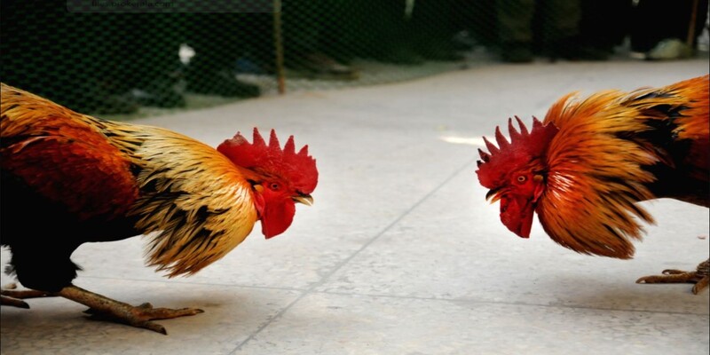 Lưu ý phải nắm vững