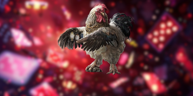 Hướng dẫn tiếp cận đá gà Campuchia hiệu quả