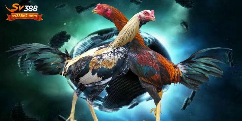 Bí kíp để chơi có hiệu quả