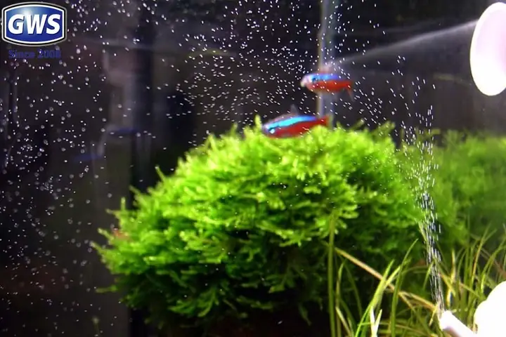 Cã¡ch Khá»­ Clo Trong Næ°á»c Mã¡y Äá» Nuã´i Cã¡ Hiá»u Quáº£, An Toã N Nháº¥t