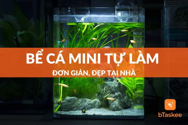 Setup Bể Cá Mini Tự Làm Đơn Giản, Đẹp Tại Nhà – Btaskee