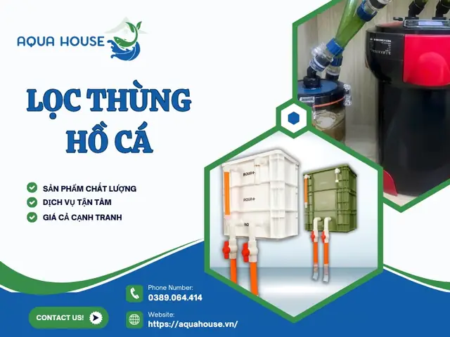 Lọc Thùng Cho Hồ Thủy Sinh Bể Cá Chính Hãng Giá Rẻ