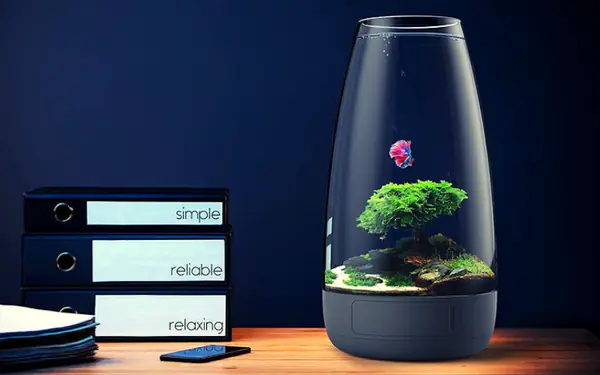 Mẫu Bể Thủy Sinh Mini Trang Trí Để Bàn Mẫu Bể Thủy Sinh Mini Trang Trí Để Bàn