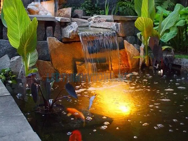 Mẫu Hồ Cá Đẹp Ngoài Trời