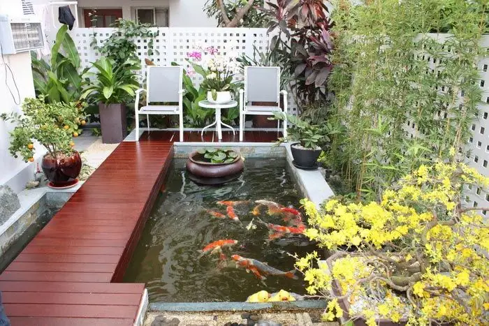 Mẫu Hồ Cá Đẹp Ngoài Trời