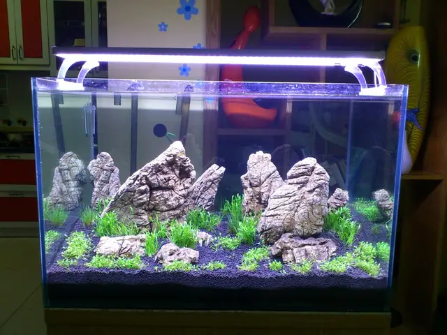 Lựa Chọn Hệ Thống Lọc Nước