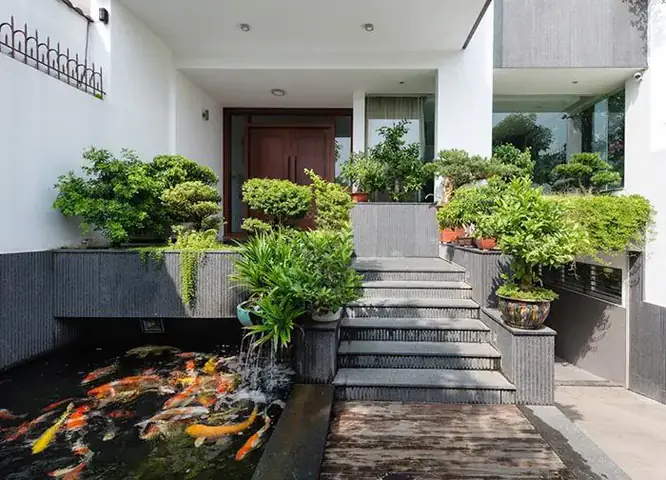 Hồ Koi Mini Đẹp Ngoài Trời